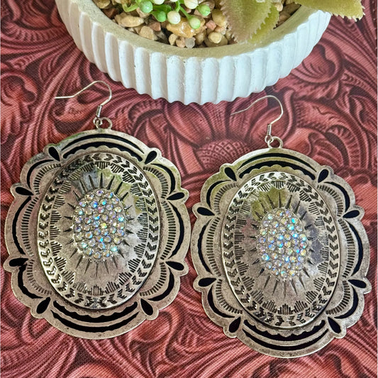 Large Silver Earrings